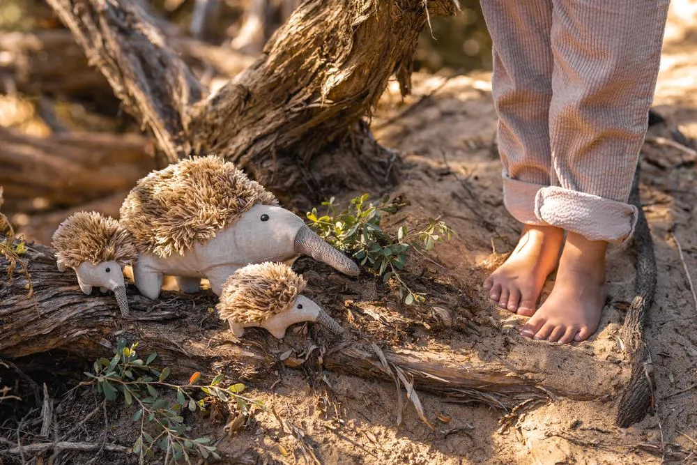 Spike the Echidna