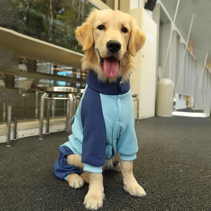 Sporty Big Dog Jacket
